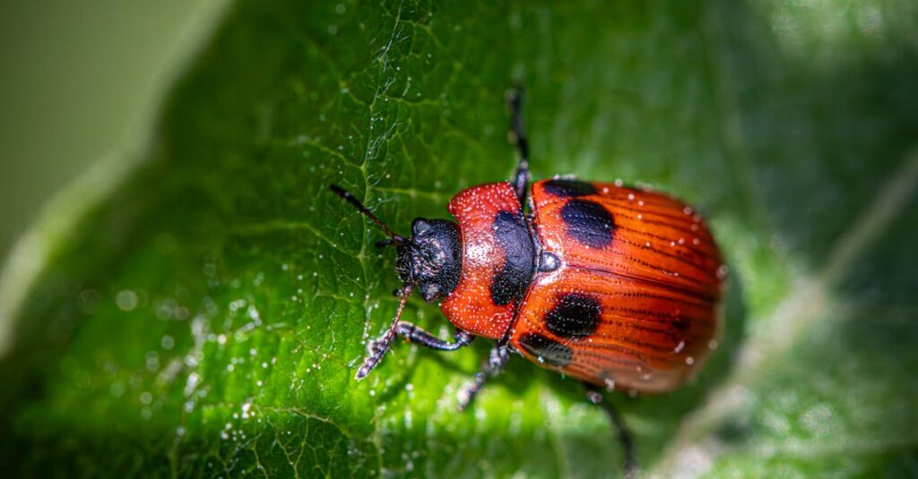 découvrez deep spot, votre destination incontournable pour explorer des contenus profonds et captivants, alliant expertise et innovation.