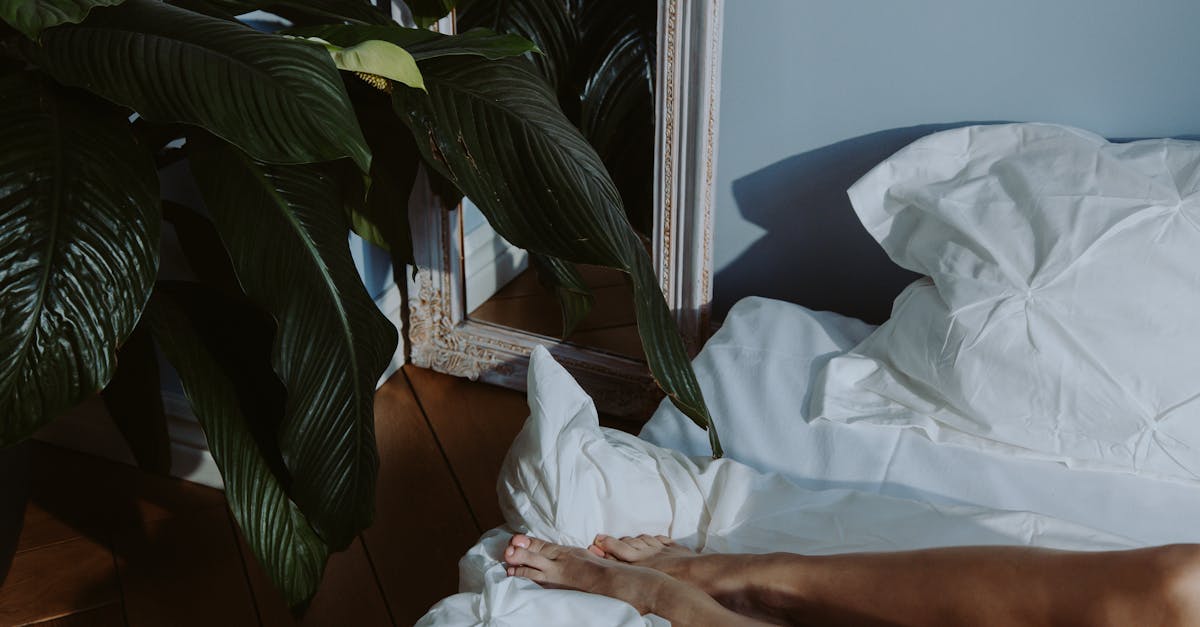 découvrez les zones érogènes du corps pour mieux comprendre et intensifier le plaisir lors des moments intimes.