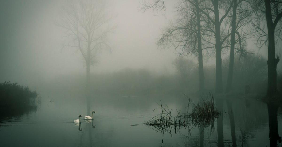 découvrez les zones érogènes du corps humain pour améliorer votre intimité et éveiller vos sensations.