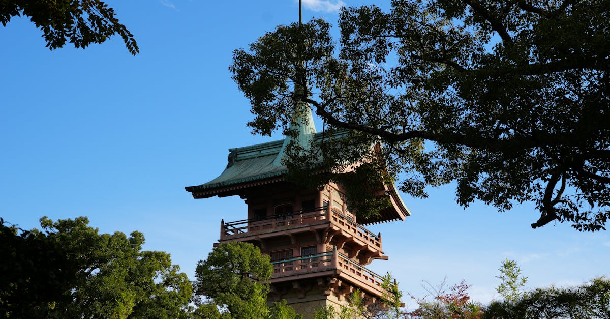 découvrez tout ce que vous devez savoir sur le point g : définition, conseils, et informations pour mieux comprendre et explorer cette zone érogène.