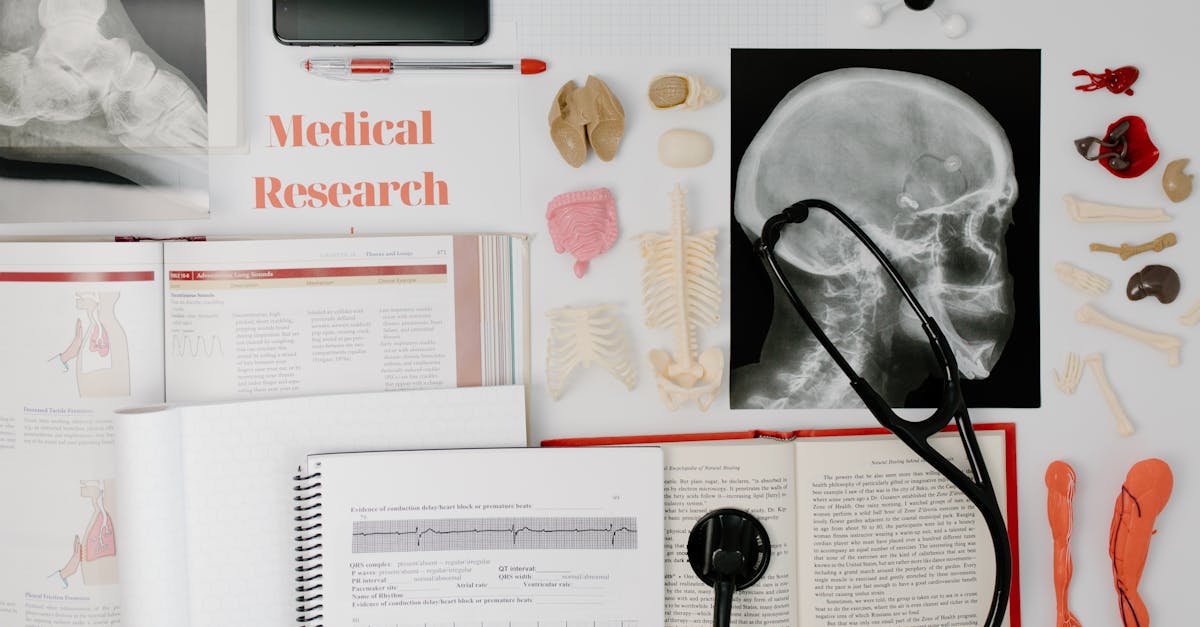 découvrez l'anatomie du pénis, ses différentes parties et leur fonctionnement pour mieux comprendre cet organe masculin essentiel.