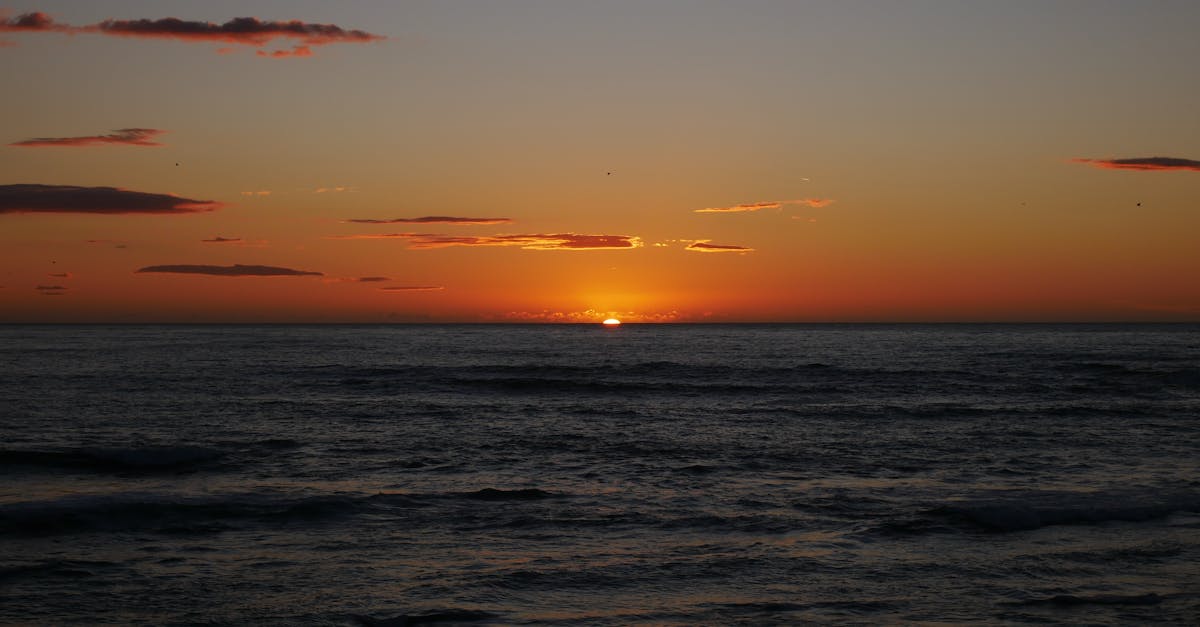 découvrez une expérience unique alliant savoir-faire, innovation et passion pour vous offrir le meilleur.