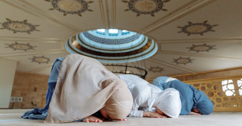 découvrez tout ce qu'il faut savoir sur la 'submission' : définitions, contextes d'utilisation et exemples pour mieux comprendre ce terme.