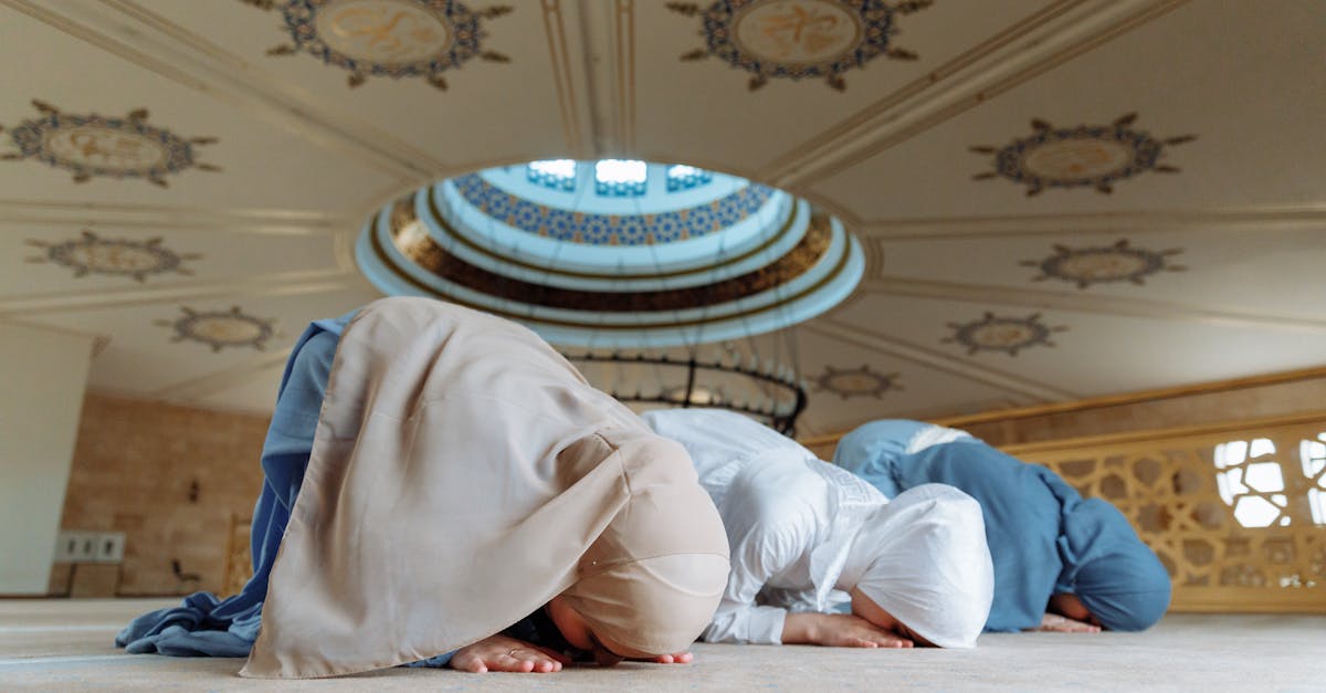 découvrez tout ce qu'il faut savoir sur la 'submission' : définitions, contextes d'utilisation et exemples pour mieux comprendre ce terme.